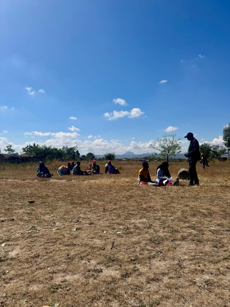Project Activity 4