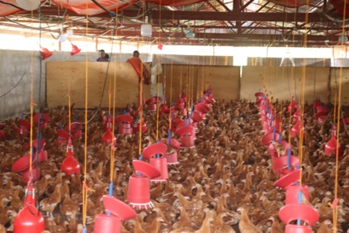Waste Management for Zulinkx Agro & Vet Services
