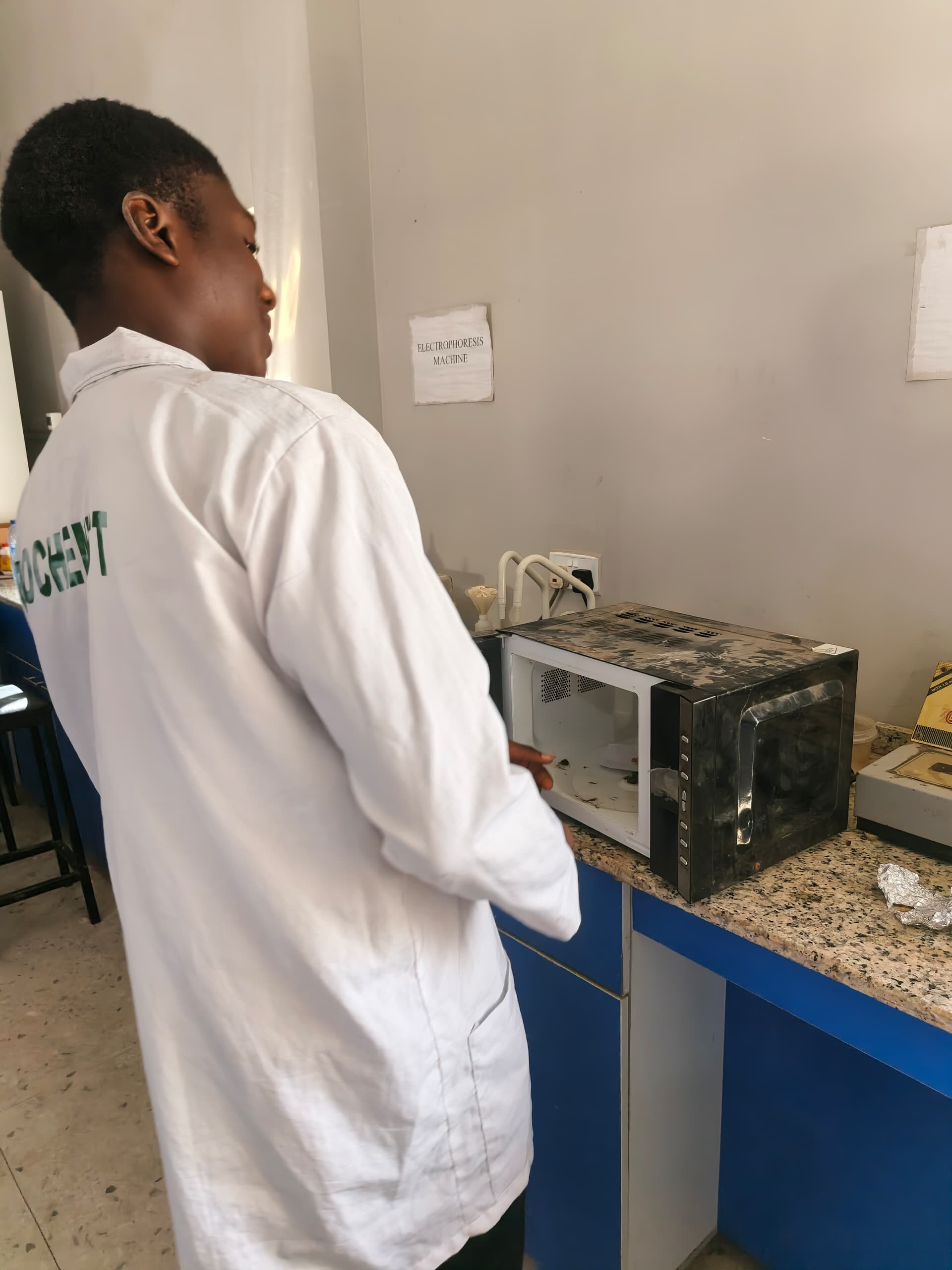 Sweet Cashew Team Lab Work